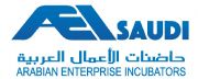 Arabian Enterprise Incubators logo