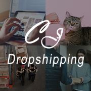 CJdropshipping logo