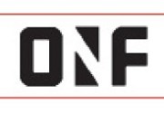 ONeill Foley Chartered Accountants logo