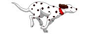 Pet Exports UK Ltd logo