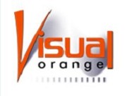 Visual Orange Web Design Company logo